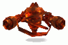 Lava Apparition of Fire (skilled